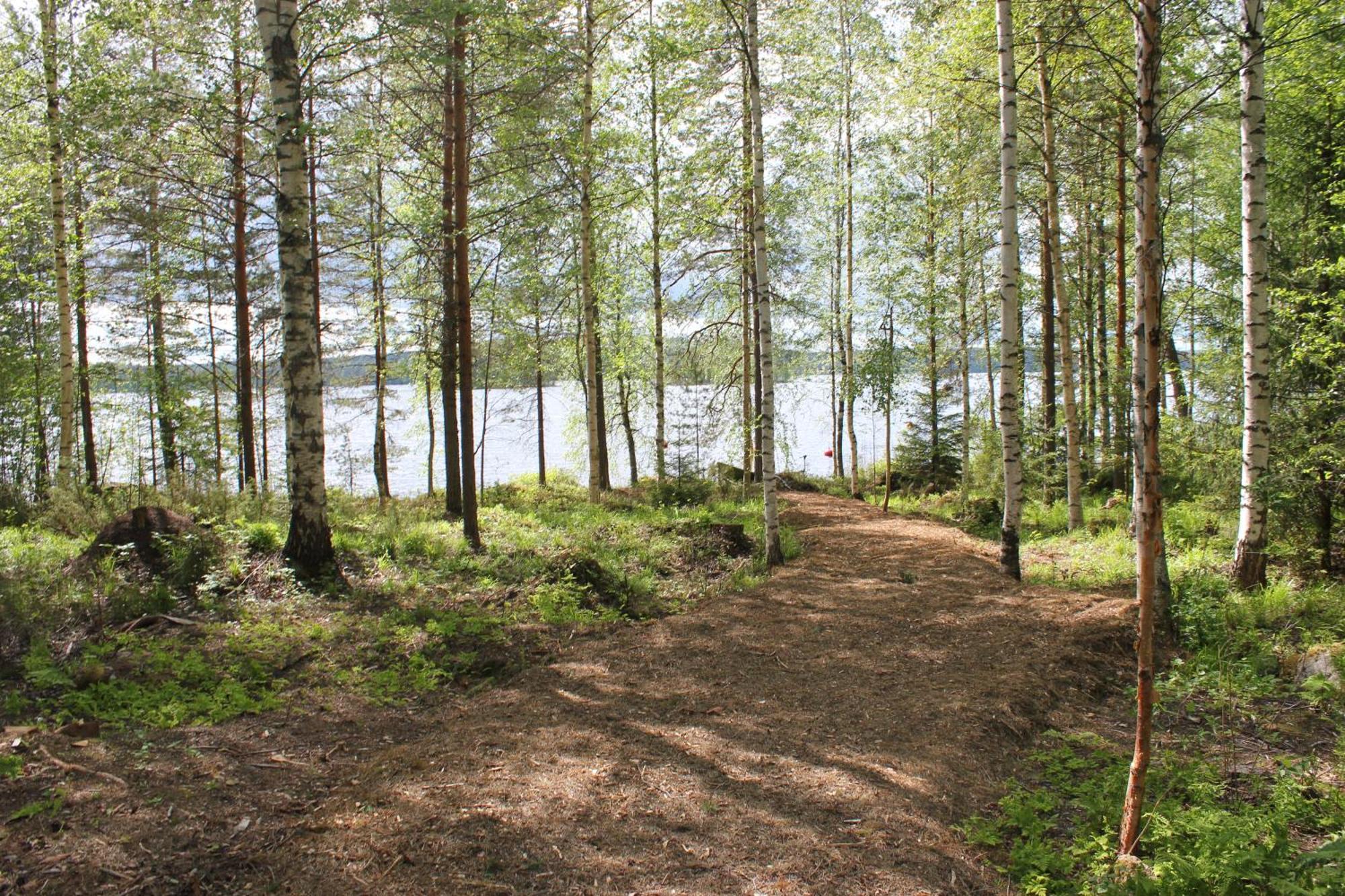 Accommodation And Fishing Vonkale Äänekoski Δωμάτιο φωτογραφία