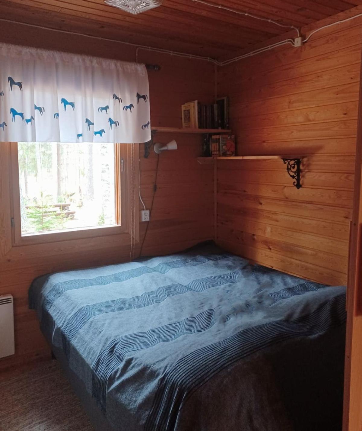 Accommodation And Fishing Vonkale Äänekoski Δωμάτιο φωτογραφία